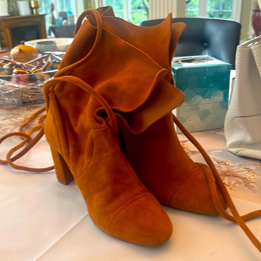 Alexandre Birman boots